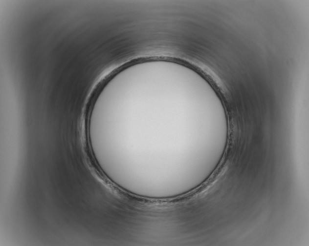 X0000113040982200908271031