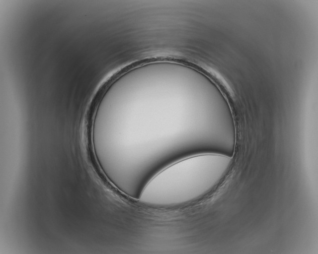 X0000113040983200908271031
