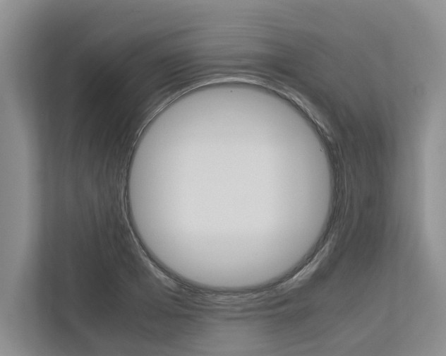 X0000113040985200908271031