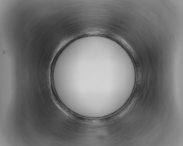 X0000113040986200908271031