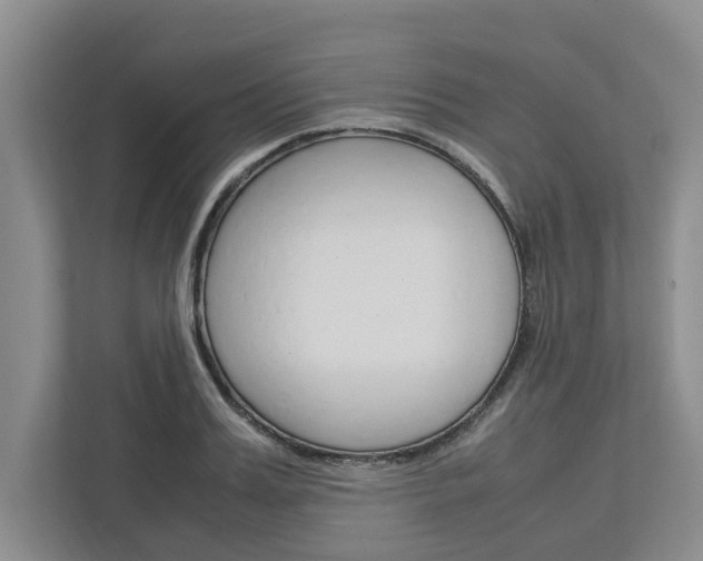X0000113040987200908271031