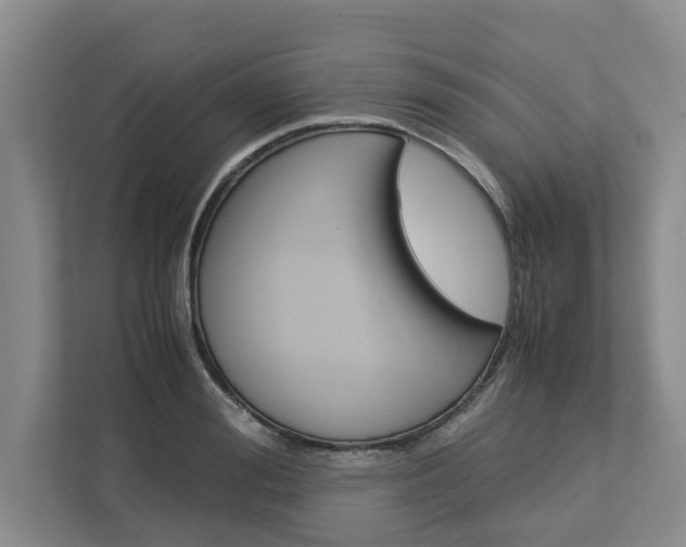 X0000113040988200908271031