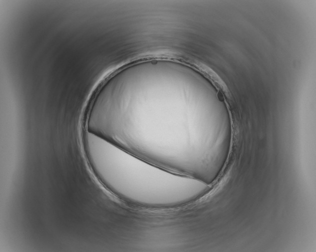 X0000113040989200908271031