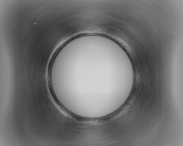 X0000113040990200908271031