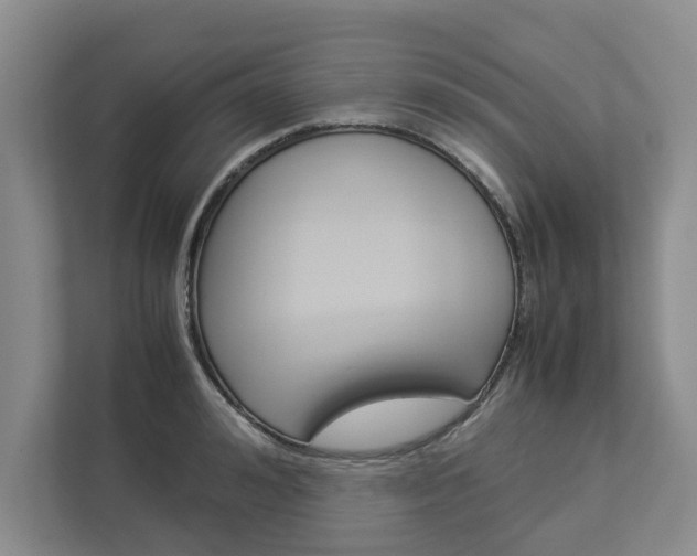 X0000113040992200908271031