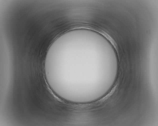 X0000113040993200908271031