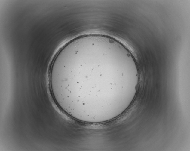 X0000113040998200908271031