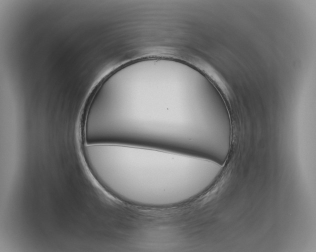 X0000113040999200908271031
