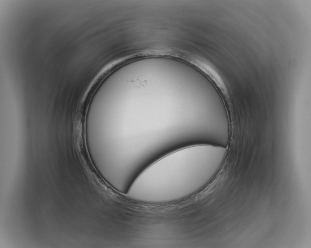 X0000113041000200908271030