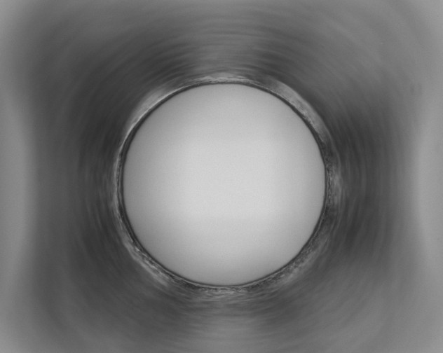 X0000113041002200908271030