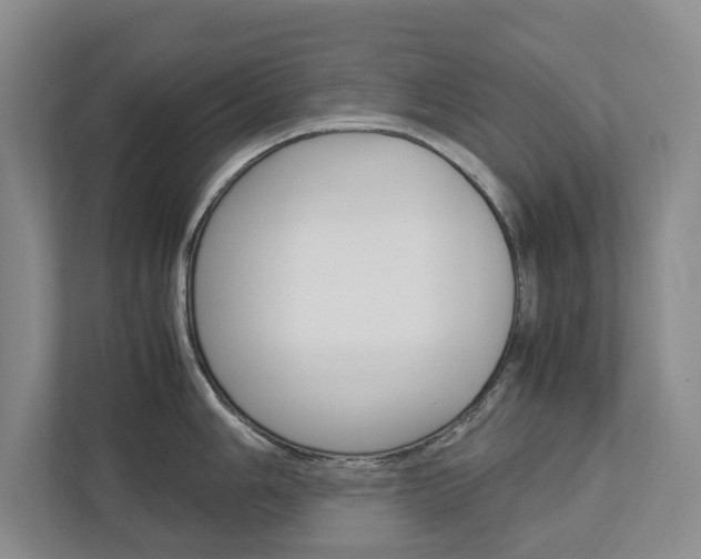 X0000113041006200908271030