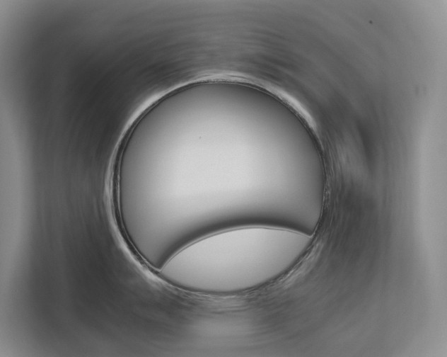 X0000113041007200908271030