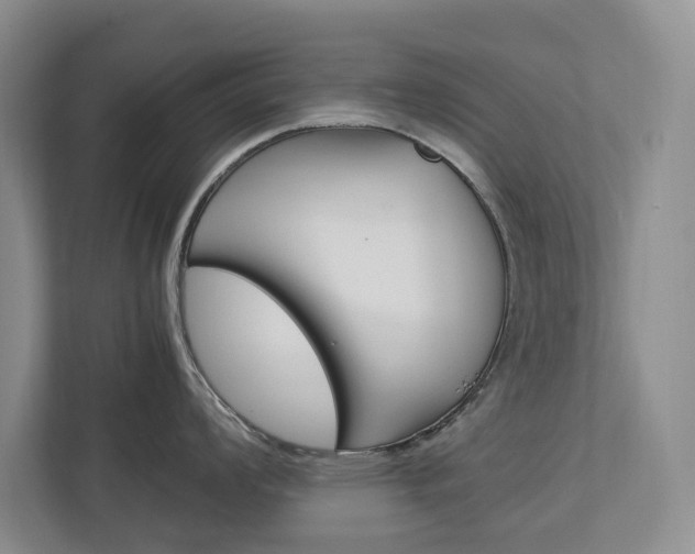 X0000113041008200908271030