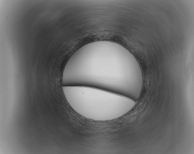 X0000113041010200908271030