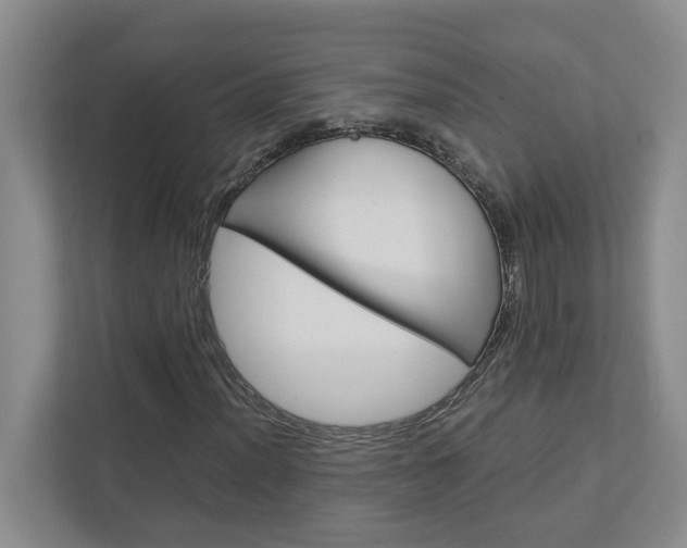 X0000113041012200908271030