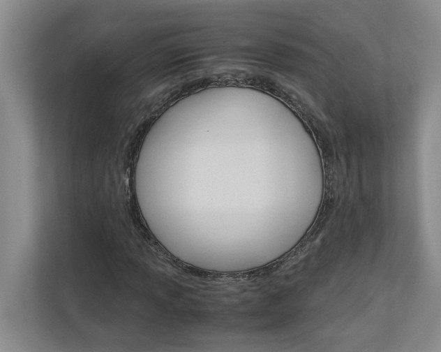 X0000113041013200908271030