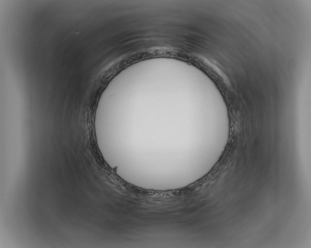 X0000113041015200908271030