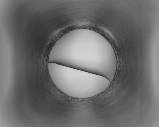 X0000113041016200908271030