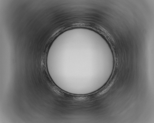 X0000113041017200908271030