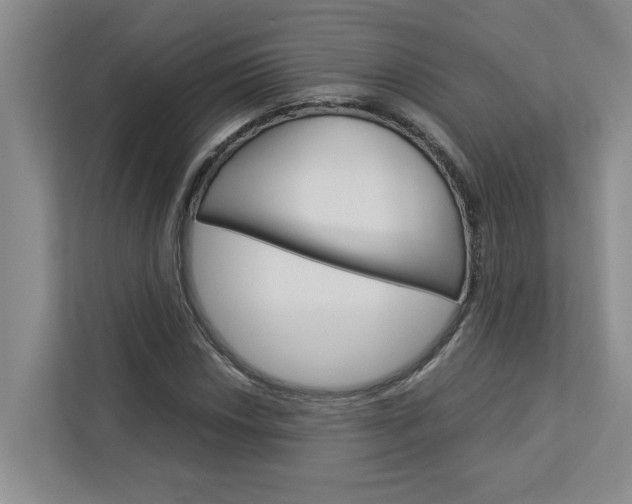 X0000113041018200908271030