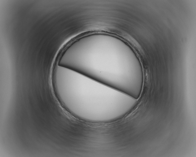 X0000113041020200908271030