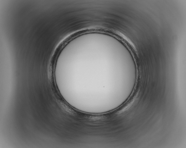 X0000113041021200908271030