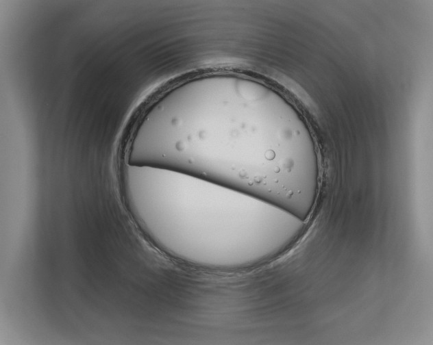 X0000113041022200908271030