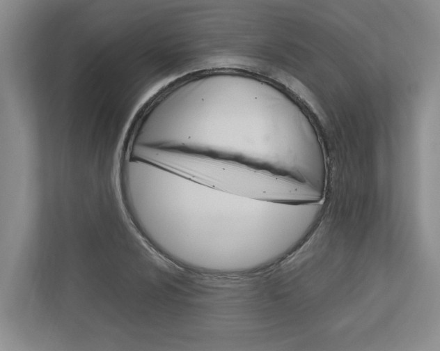 X0000113041024200908271030