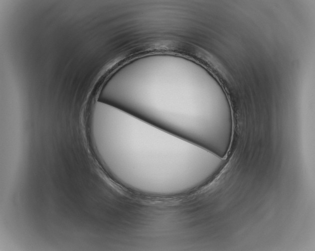 X0000113041026200908271030