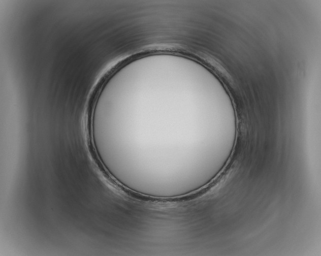 X0000113041030200908271030