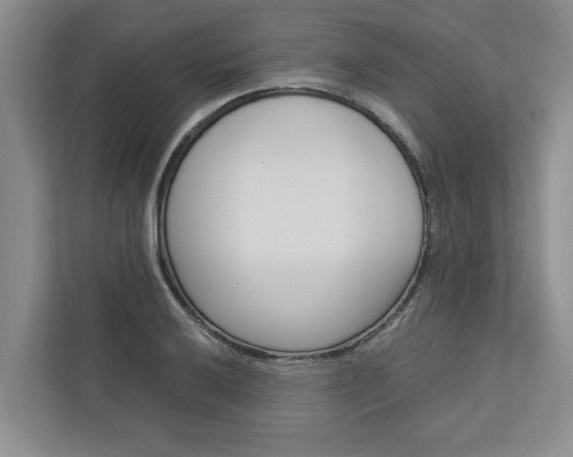 X0000113041032200908271030