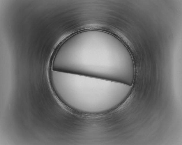 X0000113041034200908271030