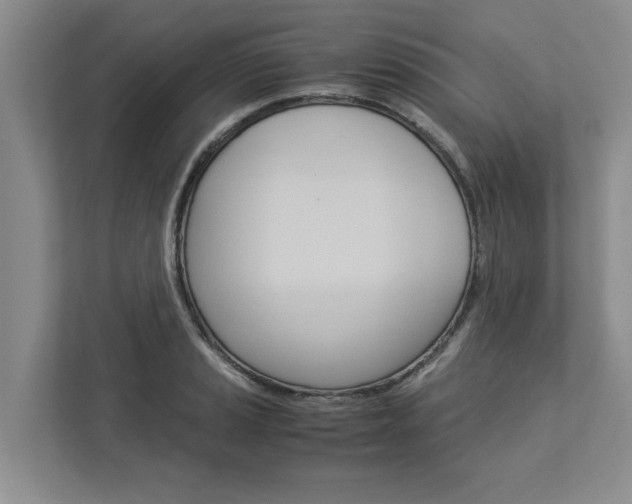 X0000113041037200908271030