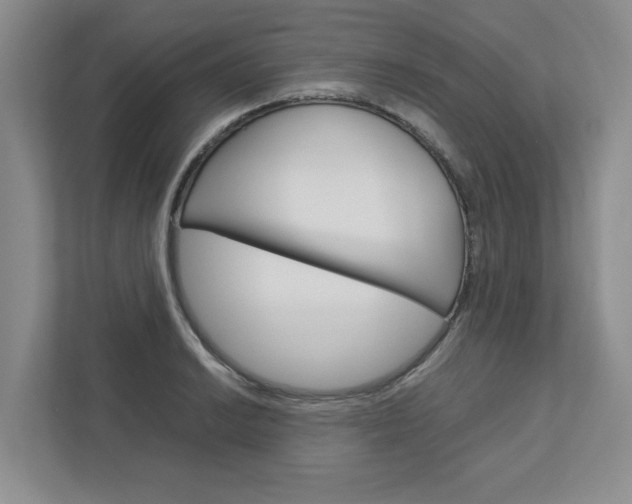 X0000113041038200908271030