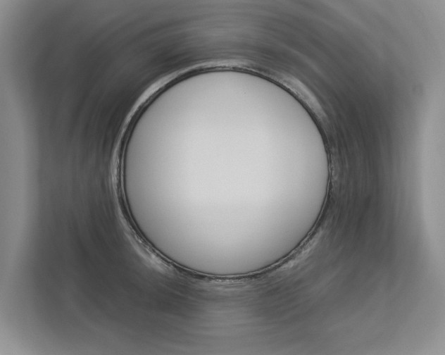 X0000113041044200908271030