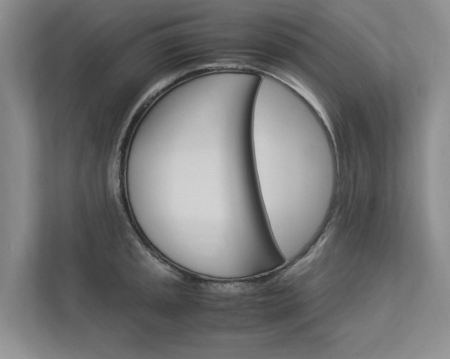X0000113041045200908271030