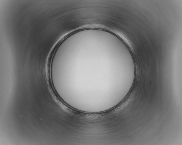 X0000113041046200908271030