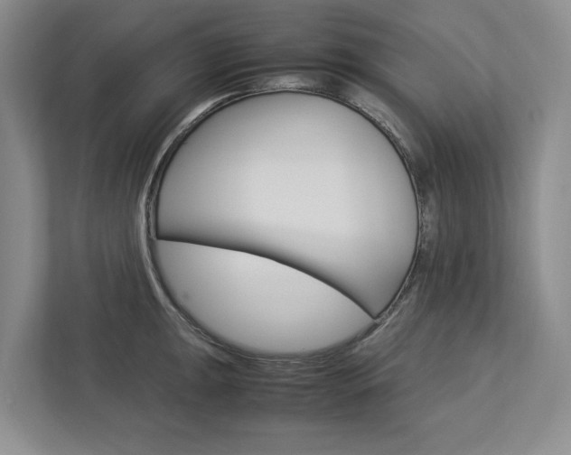 X0000113041047200908271030