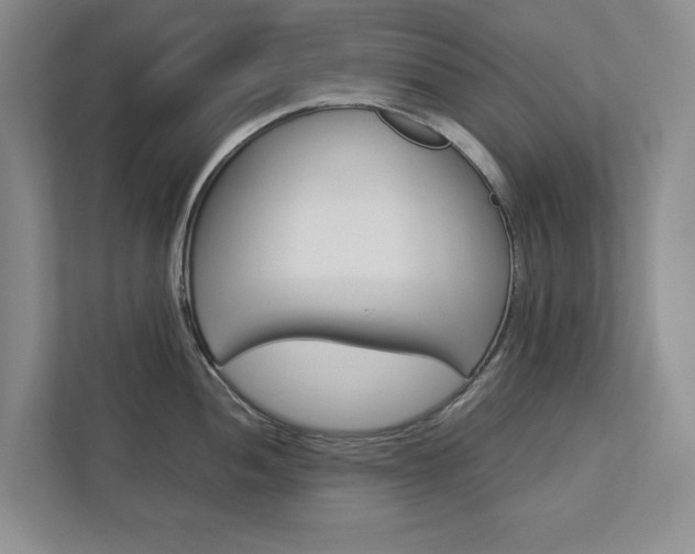 X0000113041052200908271030