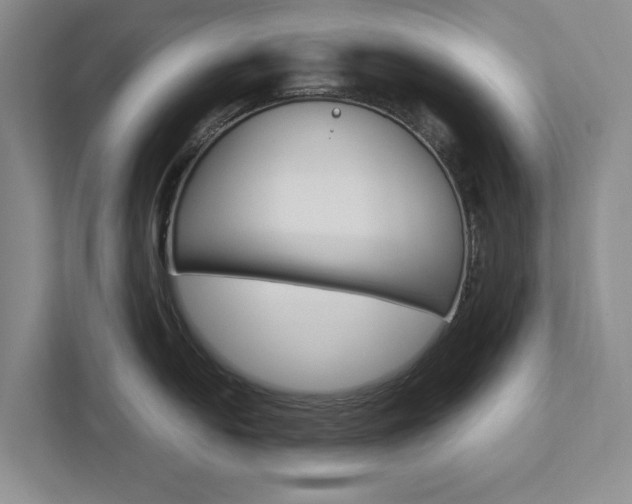 X0000113041054200908271030