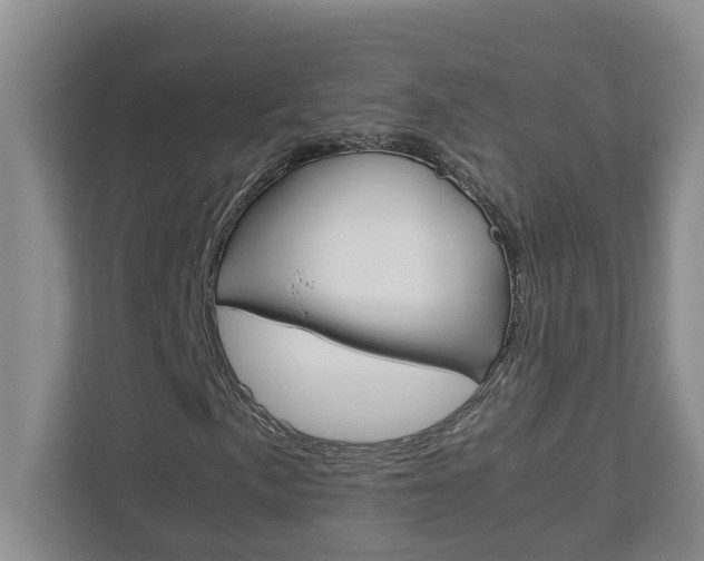 X0000113041057200908271030