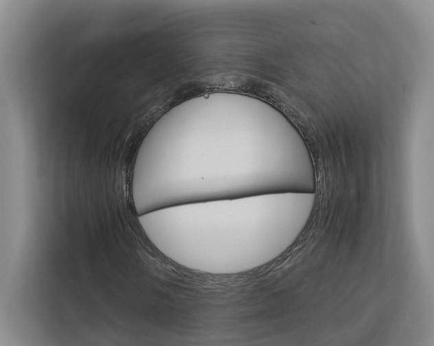 X0000113041058200908271030