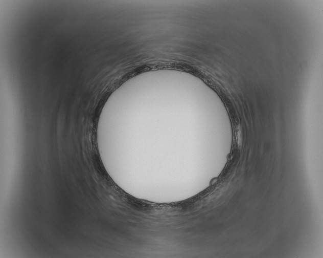 X0000113041059200908271030