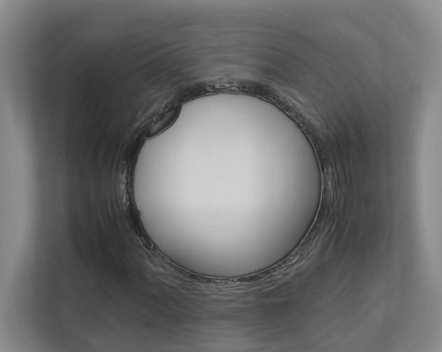 X0000113041060200908271030