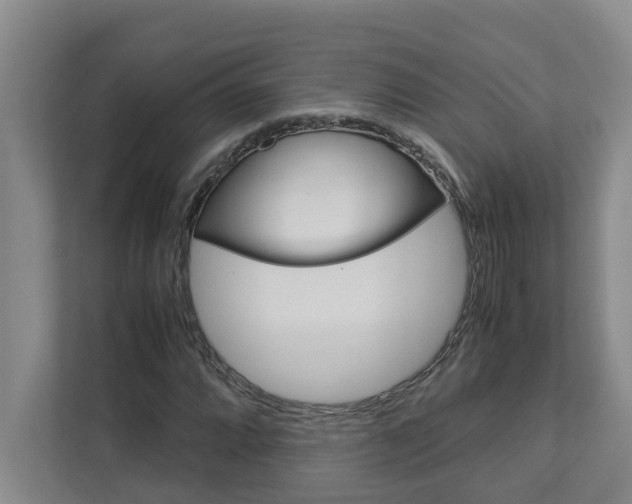 X0000113041064200908271030