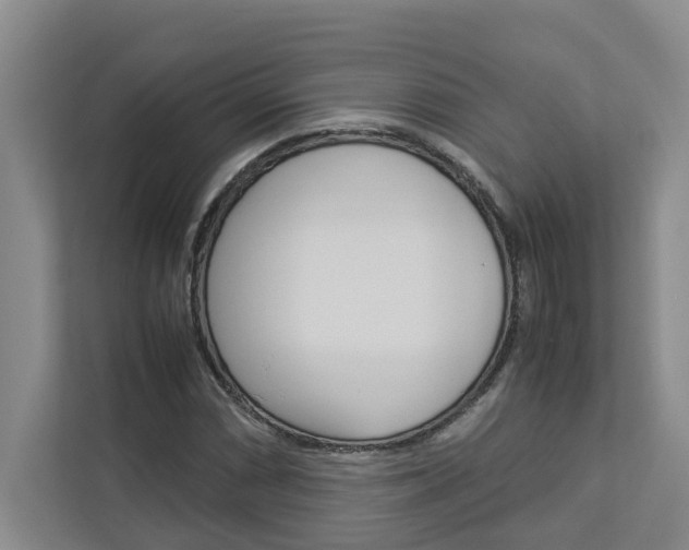 X0000113041066200908271030