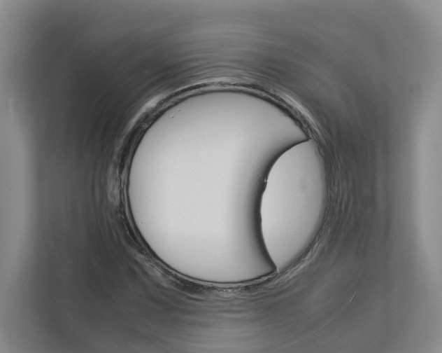 X0000113041067200908271030