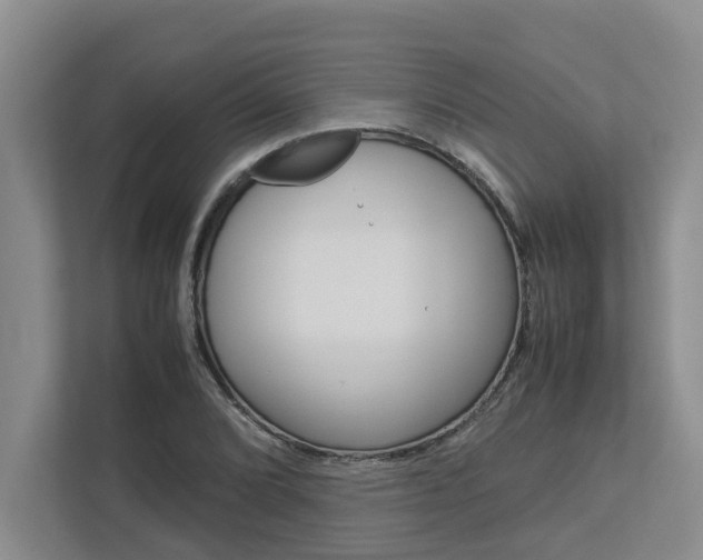 X0000113041072200908271030