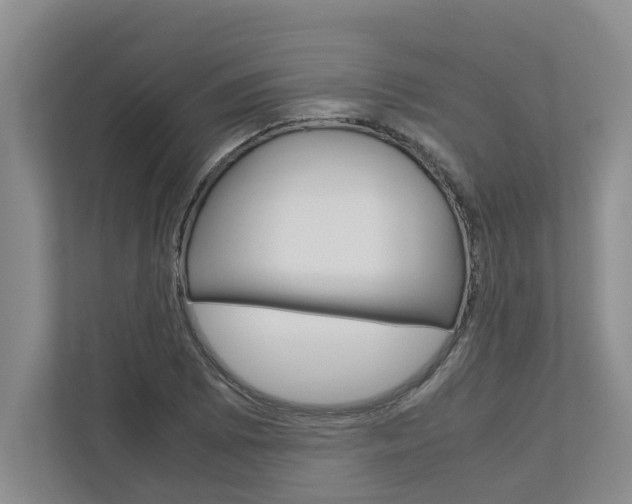 X0000113041073200908271030