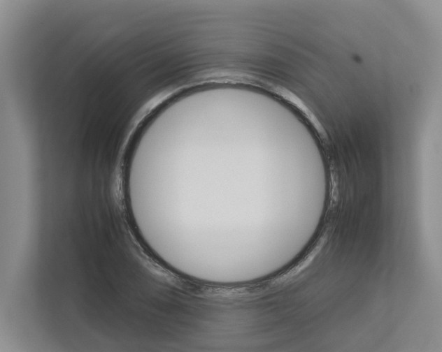 X0000113041074200908271030